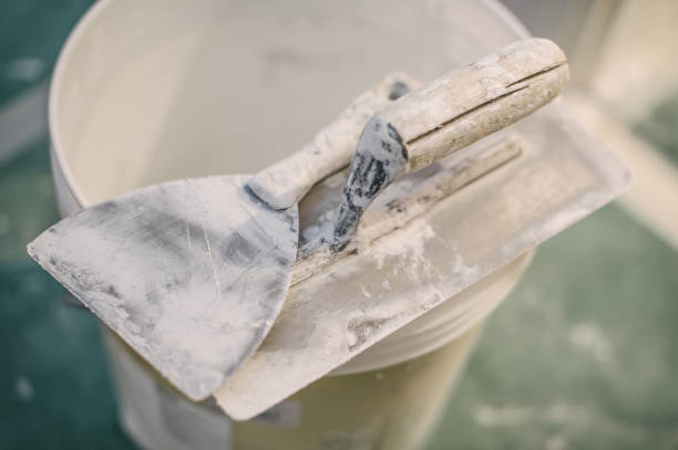 Best Dehumidification Services  in Janesville, IA